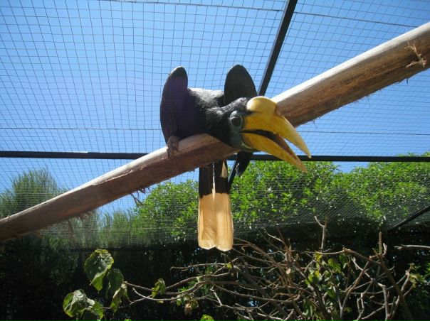 Сергей Сысоев фото №26