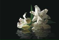 Фотография Родионовой Татьяны