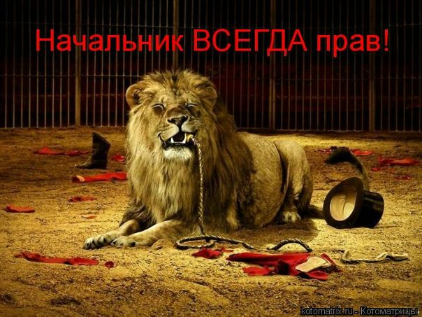 №12, Александр Санкевич, 43 года, Самара №12, Александр Санкевич, 43 года, Самара
