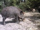 Ігор Кардаш фотография #31 (источник - https://vk.com/id145962458)