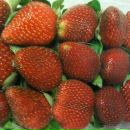 Фотография Межуева Игоря