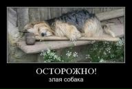 Діана Маринець-Чонка фотография #27 (источник - https://vk.com/id99178964)