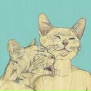 Фотография Александровны Анастасии