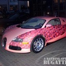 Alper Tuna фотография #1