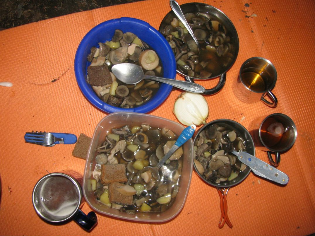 Дмитрий Когольницкий фотография #50