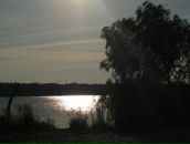 Фотография Падальца Алексея