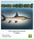 Діма Чорнобай фотография #27 (источник - https://vk.com/id28333196)