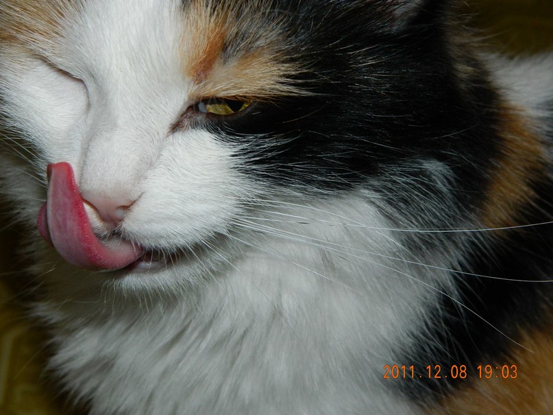 Ксения Ксения фотография #17