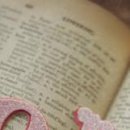 Юлічка Нехцай фотография #11 (источник - https://vk.com/id66807875)