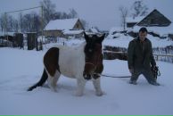 Фотография Самарина Гриши