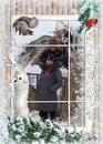 Ігор Карпа фотография #1