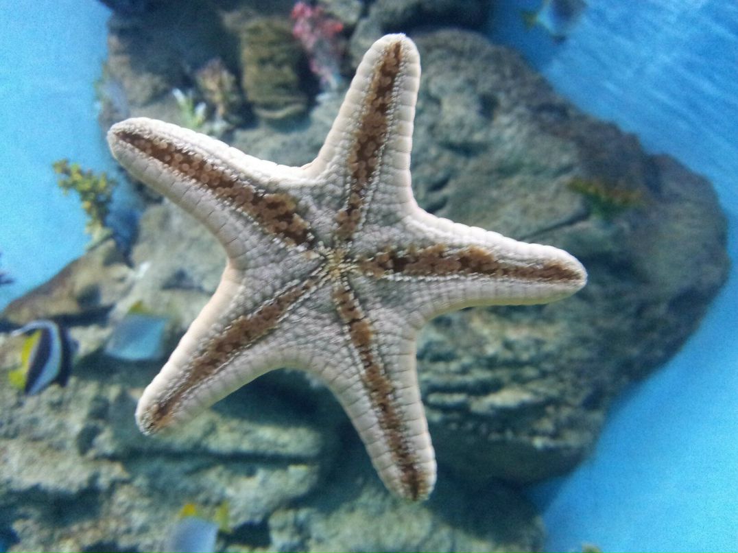 Дмитрий Зыков фотография #10