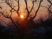 Іра Богданович фотография #32 (источник - https://vk.com/id69863987)