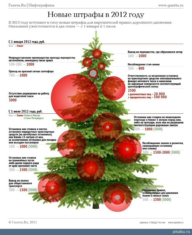 Дмитрий Сайгин фотография #50