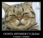 Фотография Калинина Василия