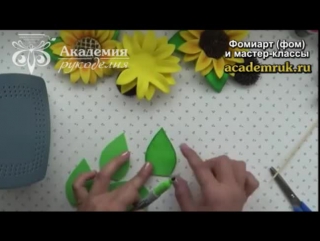 Видео-МК. Подсолнух