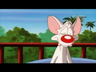 Пинки, Элмайра и Брейн (5 сезон 16 Серия)