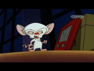 Пинки и Брейн (2 Сезон 9 Серия)