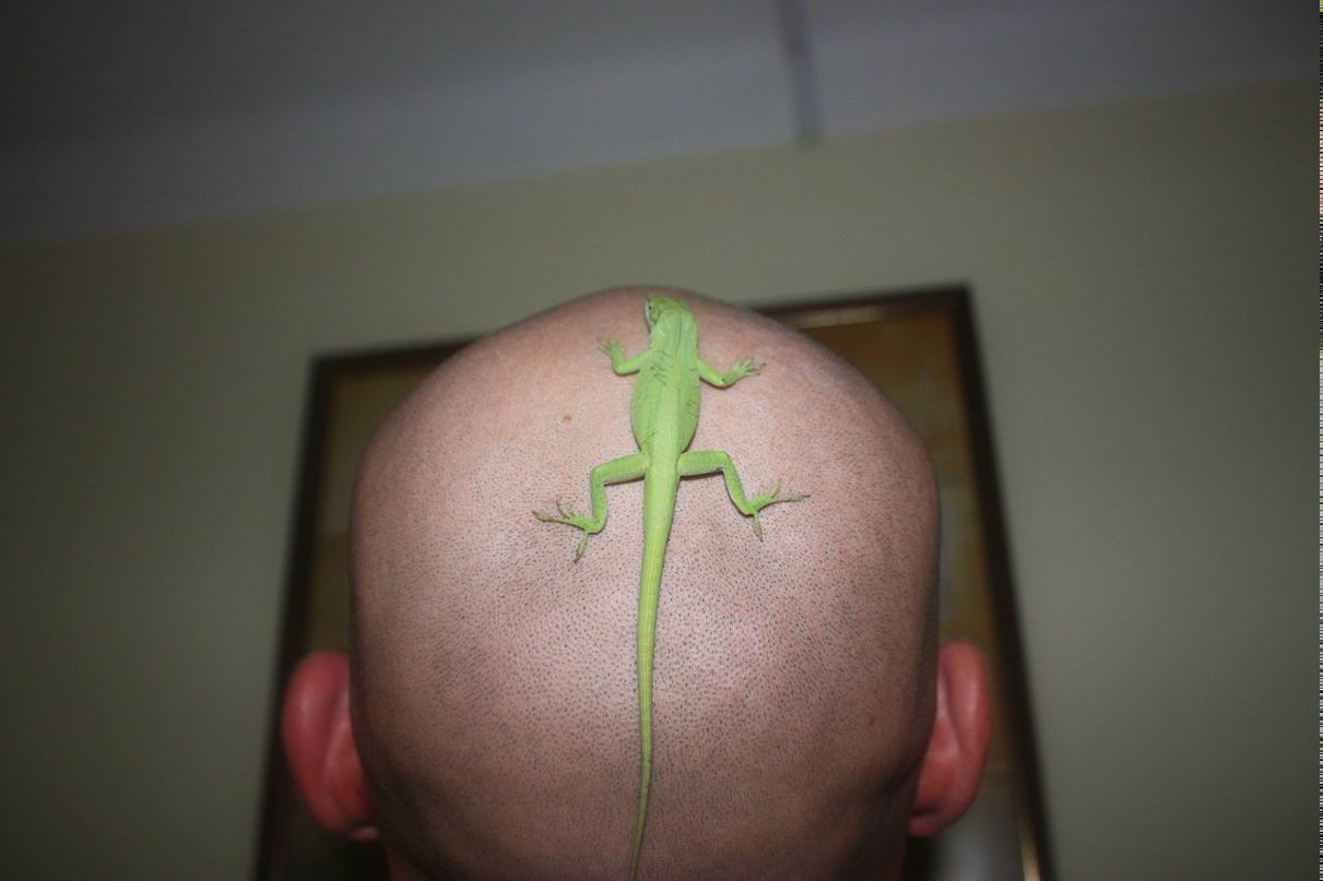 Сергей Коваленко фотография #45