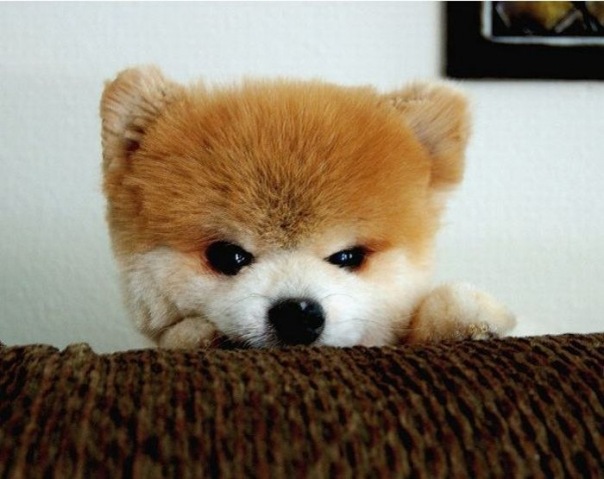 Денис ****** фото №2