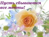 Фотография Кудряшовой Елены