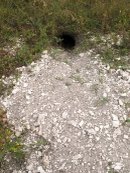 Дмитрий Рисник фотография #50 (источник - https://vk.com/id859134)