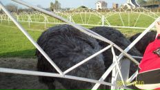 Василина Більо фотография #38 (источник - https://vk.com/id60238801)