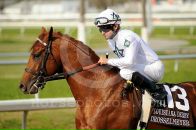 Drosselmeyer Favorite фотография #35 (источник - https://vk.com/id86315511)