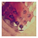 Фотография Ле Саши