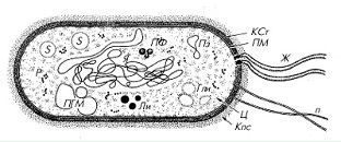 Maxim36_2010 Maxim36_2010 фотография #1