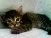 Фотография Хабаровой Ангелины