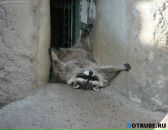 Фотография Морозовой Светланы