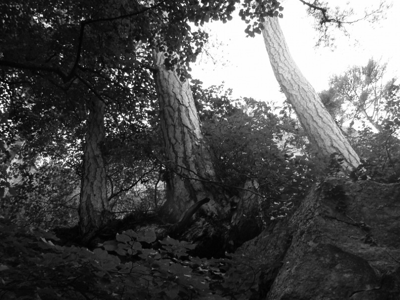 Дмитрий Ддв фотография #48