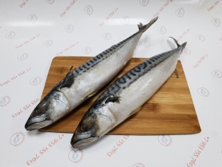 Малосольная скумбрия в домашних условиях