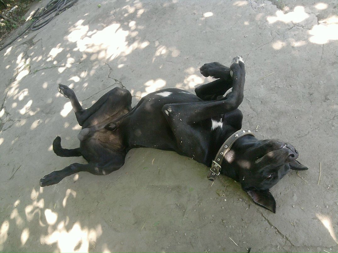 Серега Шатов фотография #36