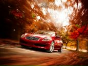 Фотография Грин Анастасии