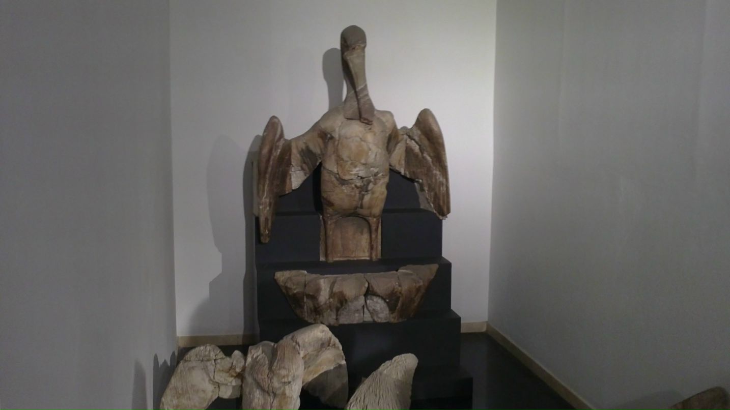 Александр П. фотография #34