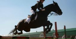 Найк ...™ фотография #21 (источник - https://vk.com/id101479513)