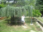 Лілія Куткова фотография #47 (источник - https://vk.com/id37148680)