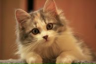 Фотография Рубцовой Элины