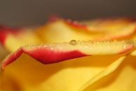 Марина Скобялко фотография #44 (источник - https://vk.com/id254502)