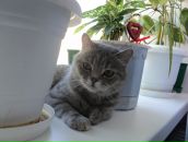 Фотография Шпак Натальи