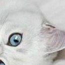 Сірожа Стицюк фотография #32 (источник - https://vk.com/id133380888)