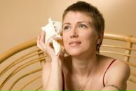 Фотография Ежик Рыжий