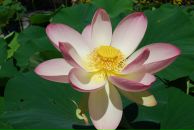 Фотография Кирьяновой Евгении