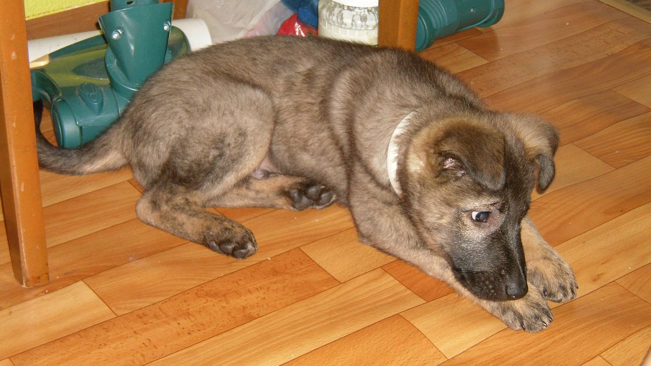 Иван Савков фотография #32