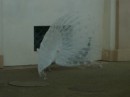 Сергій Калин фотография #49 (источник - https://vk.com/id70308015)