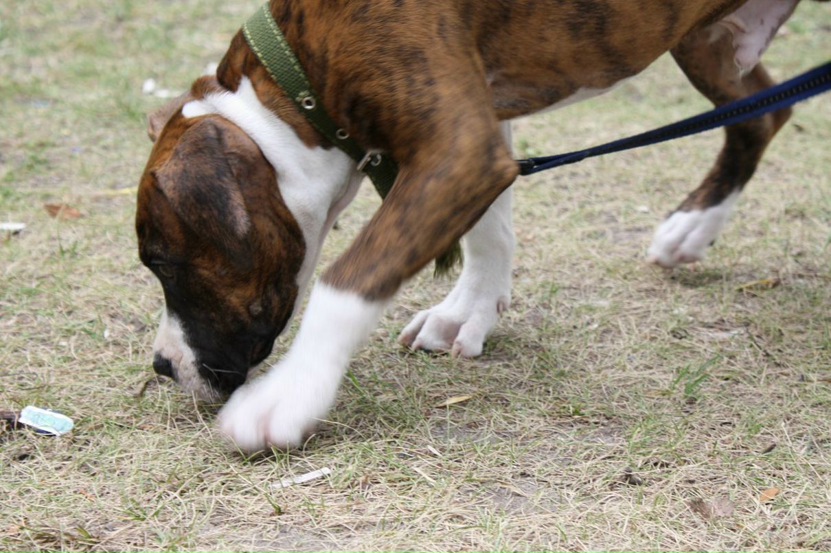 Кирилл Митяев фотография #16