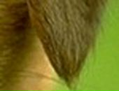 Аліна Третякович фотография #25 (источник - https://vk.com/id36342602)