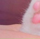 Світлана Кот фотография #15 (источник - https://vk.com/id100801727)